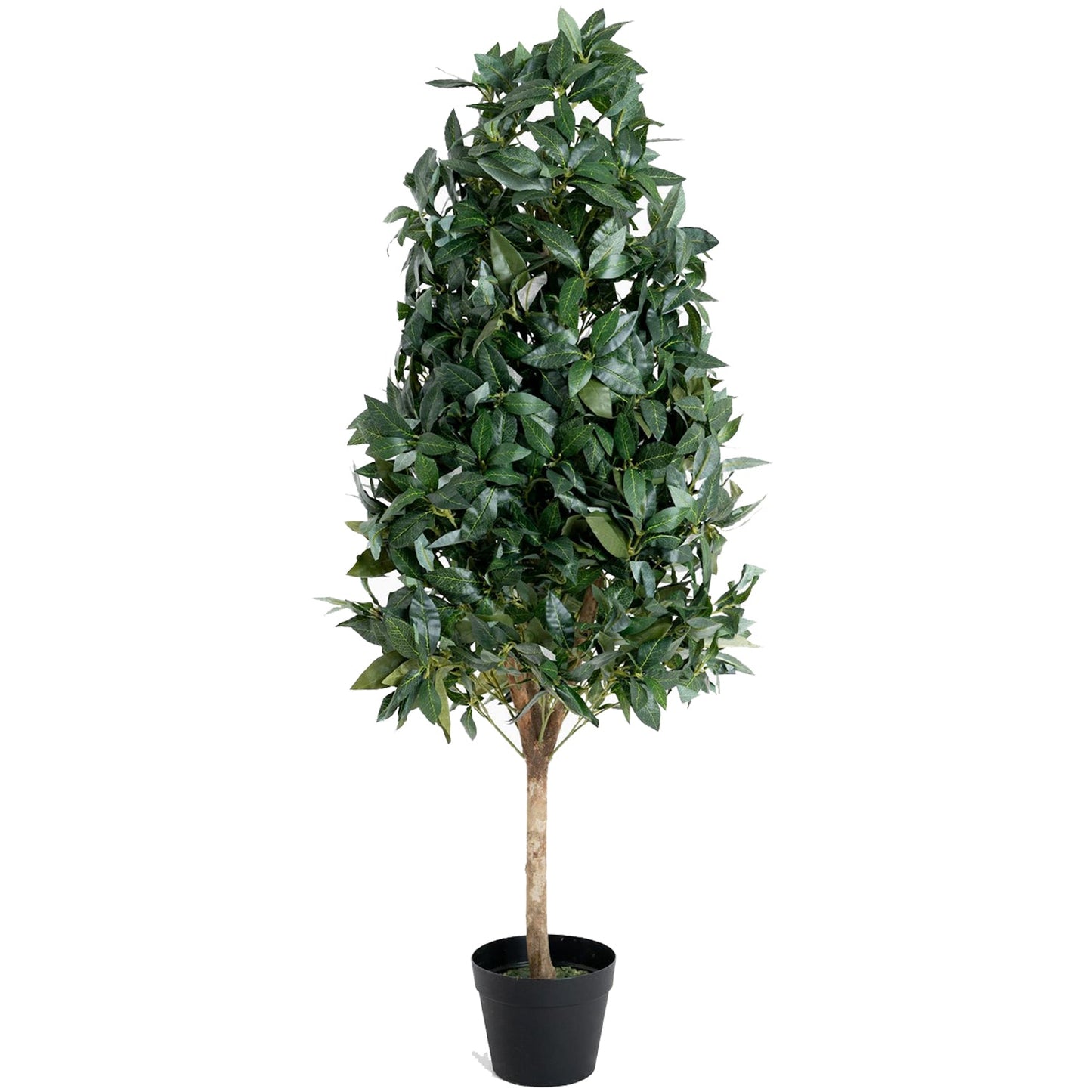 Leaf Realistic Premium Gorgeous Artificial Bay Cone Indoor And Outdoor