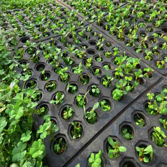 Interlocking Agriculture Rubber Safety Matting With Holes
