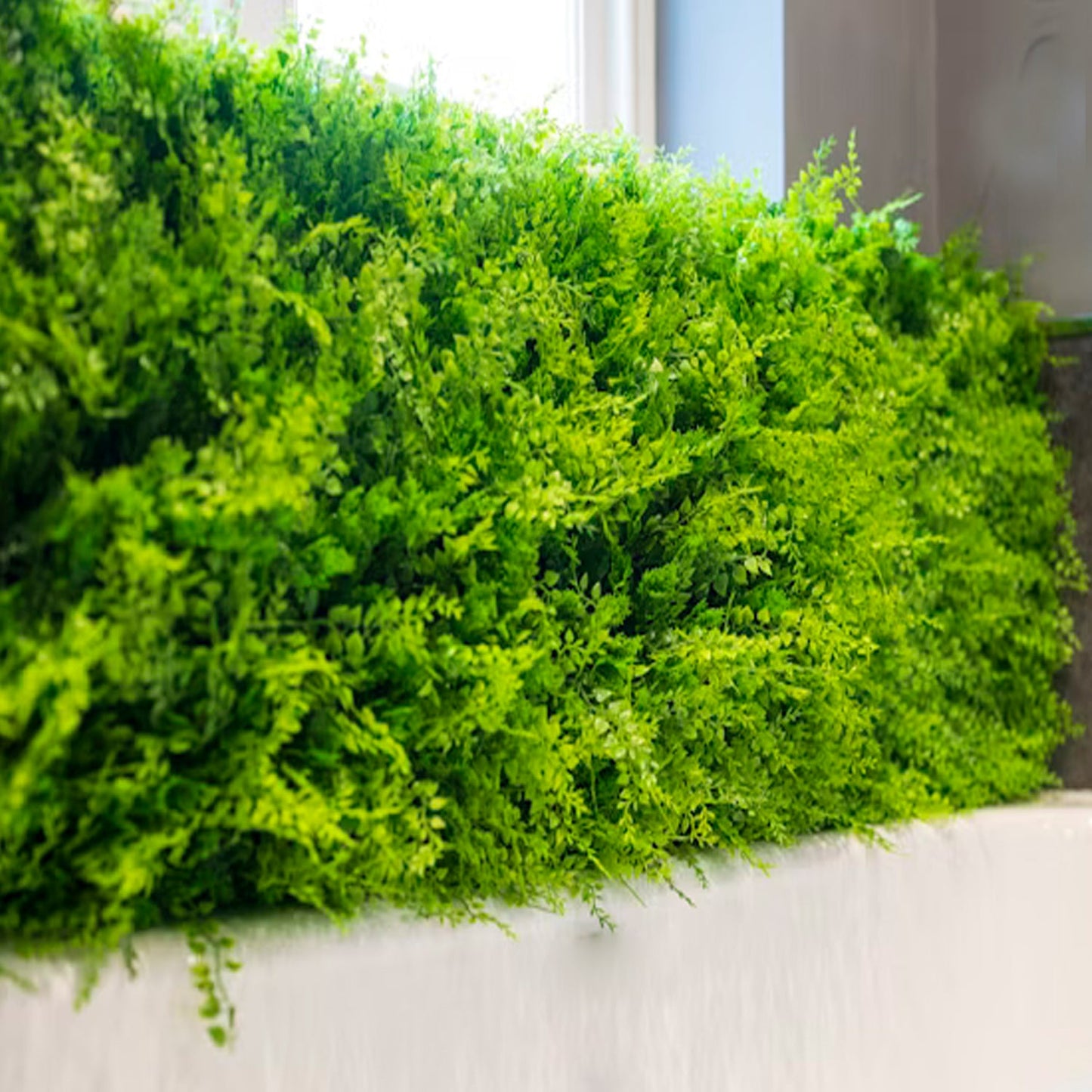 Commercial Grade Artificial Fern Foliage Living Wall Indoor & Outdoor use