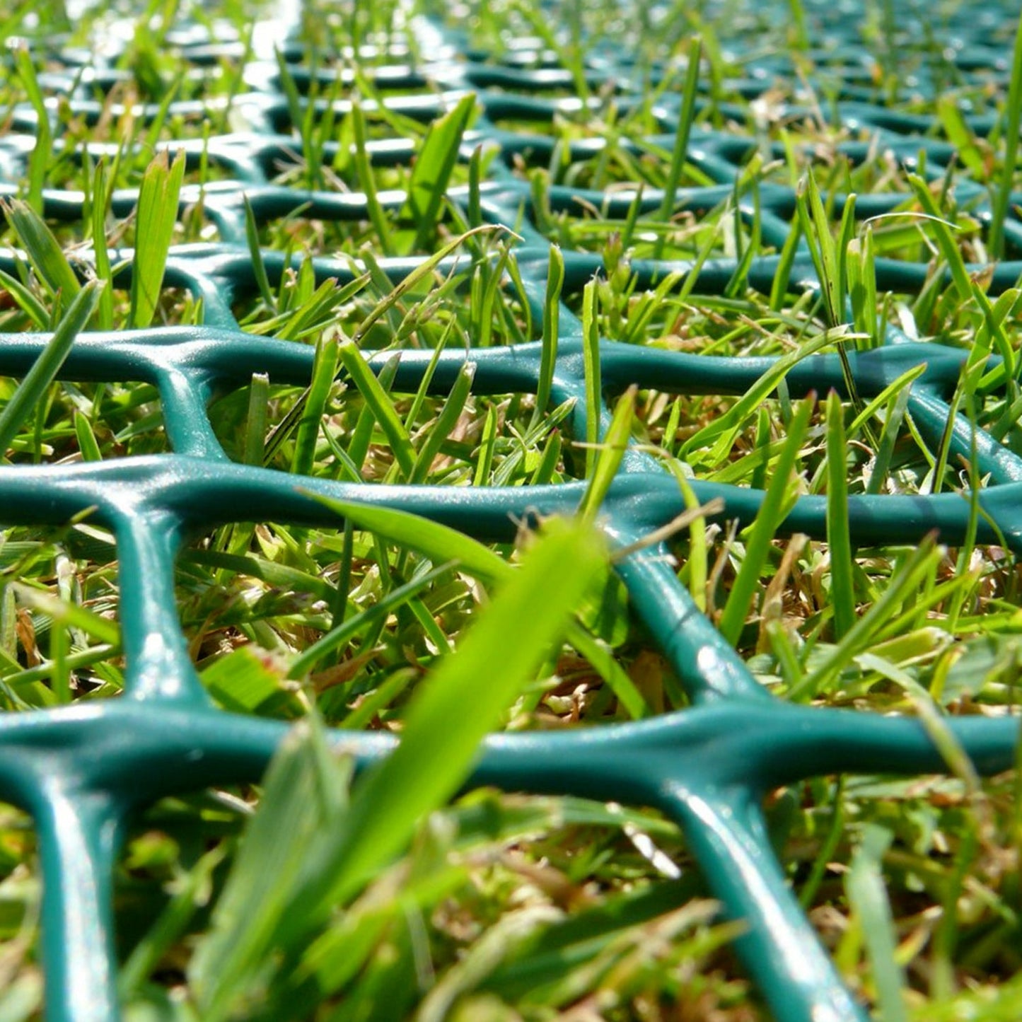 Outdoor Car Parking Grass Protection Mesh