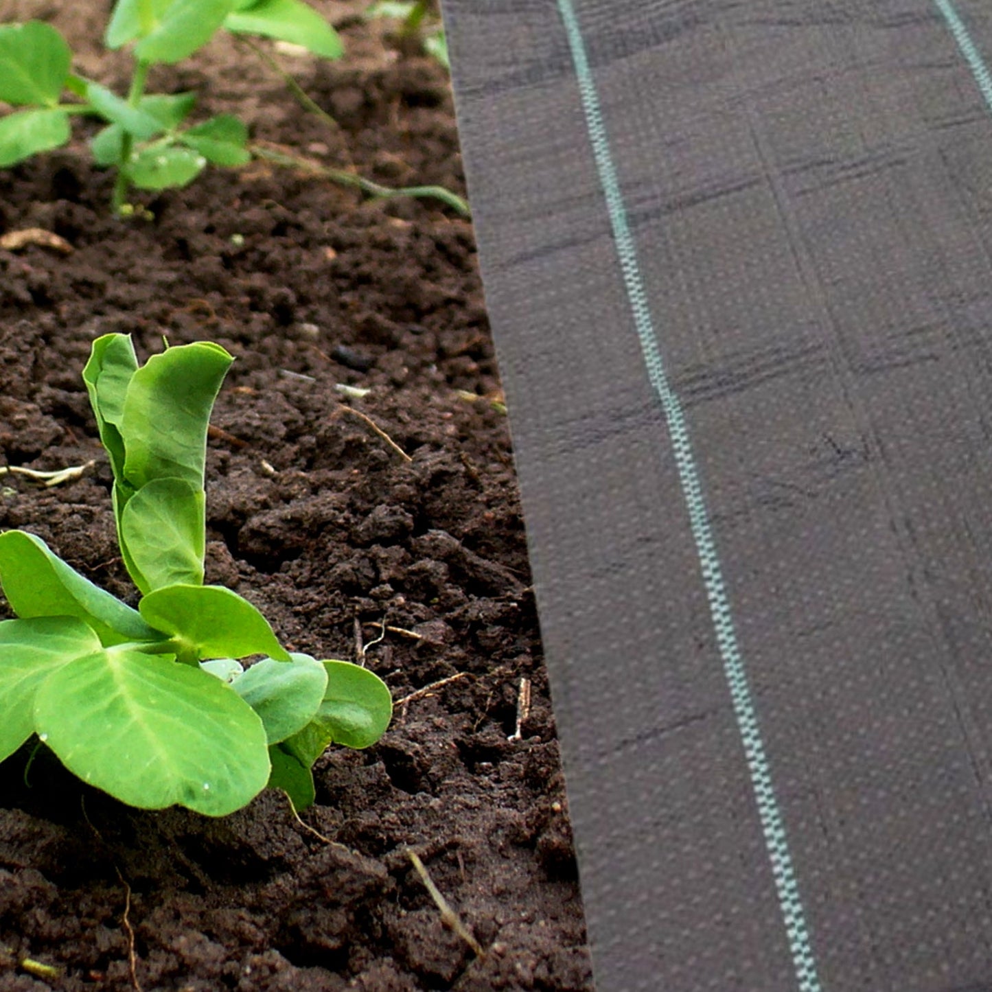 Garden Woven Heavy Duty Weed Control Fabric Ground Cover Membrane