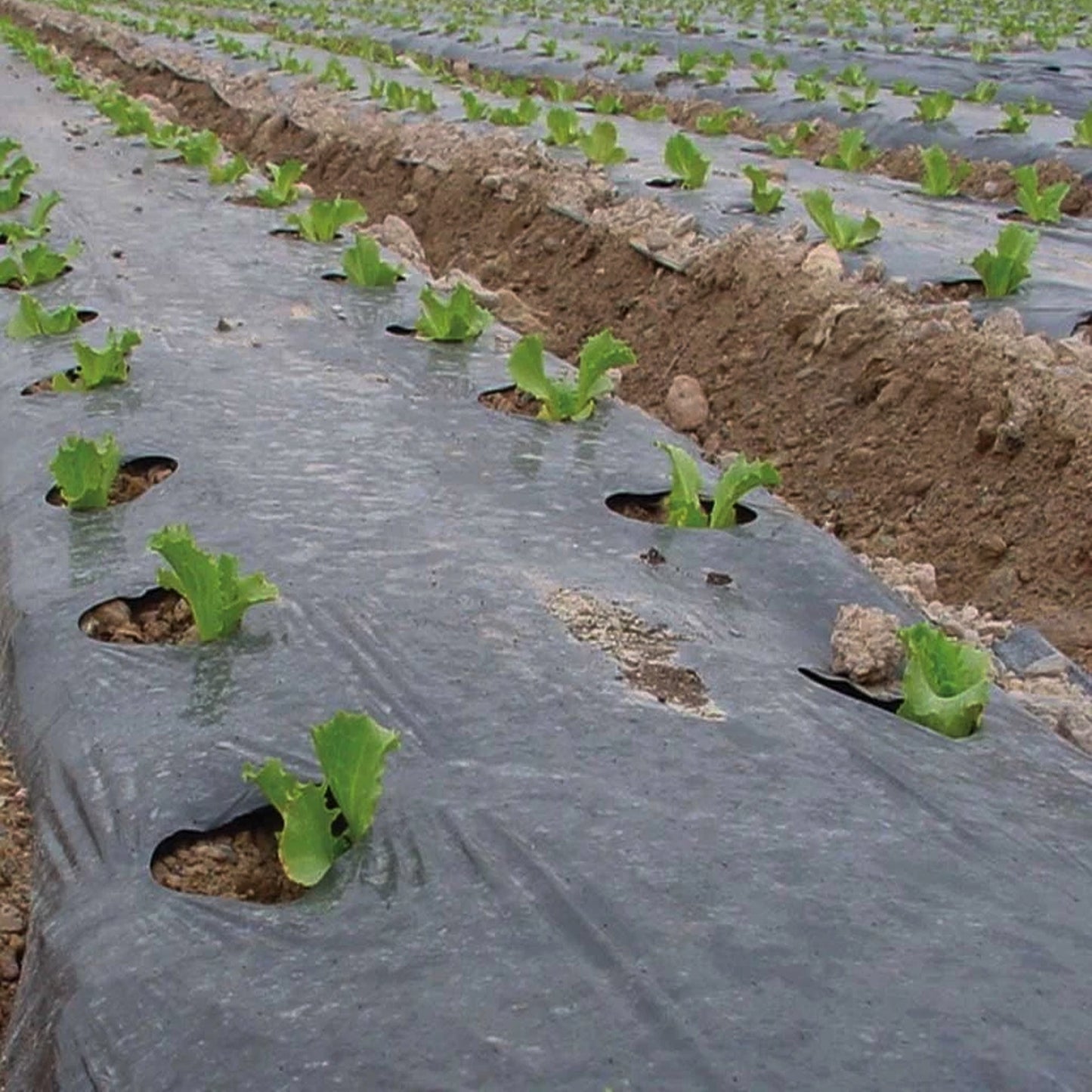 Garden Weed Control Black Plastic Polythene Sheeting Damp Proof Membrane