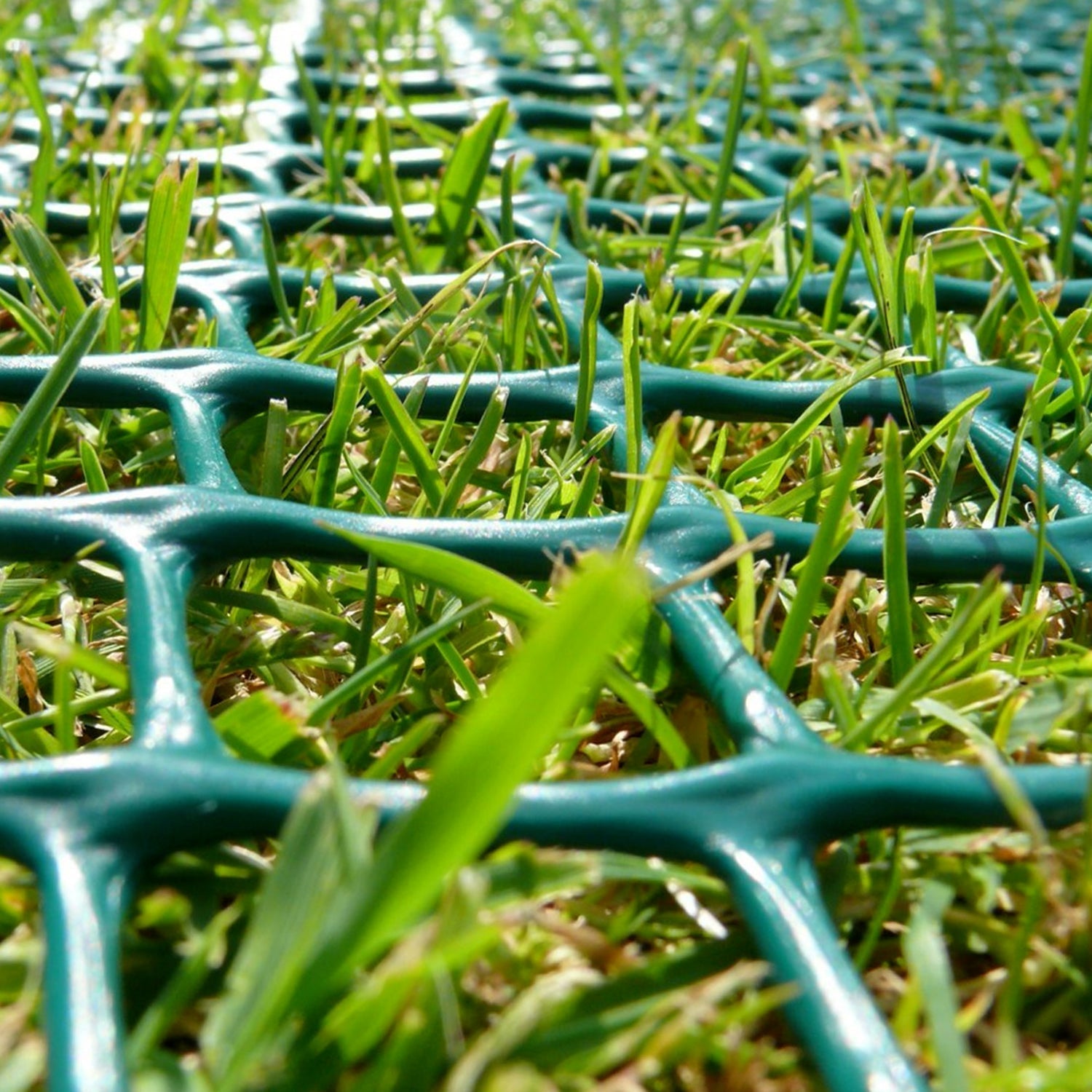 Turf Reinforcement Mesh