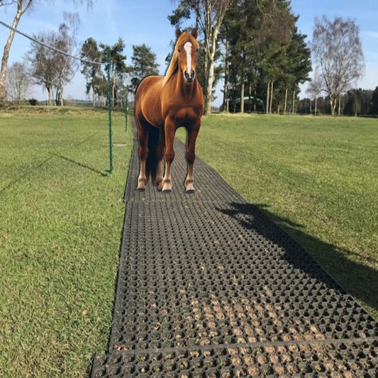Horse Washbay Mat