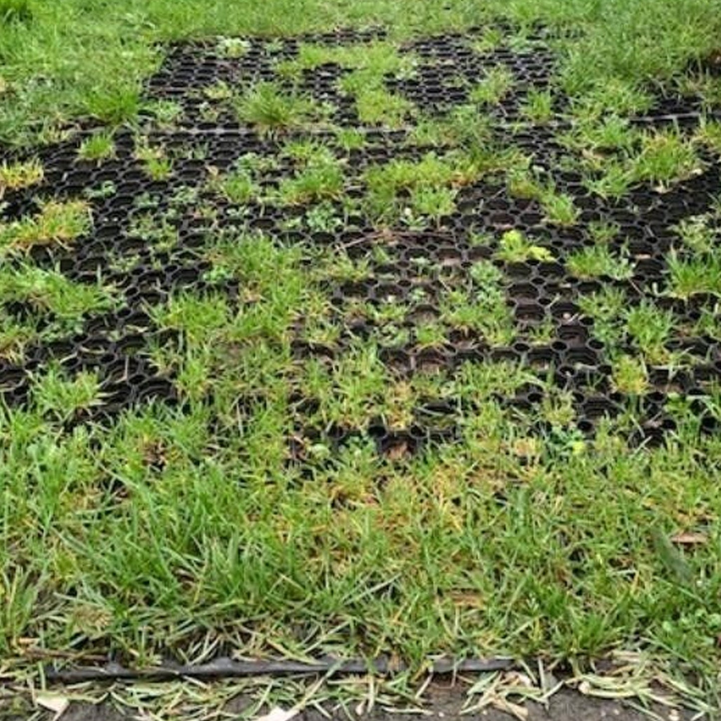 Driveway Heavy Duty Grass Mats Car Park Lawn Mats