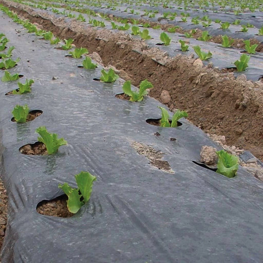 Garden Weed Control Black Plastic Polythene Sheeting Damp Proof Membrane